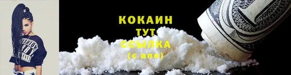 гашик Белокуриха