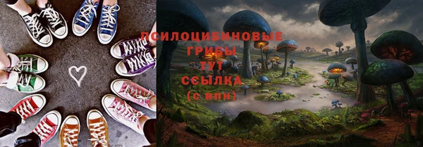 гашик Белокуриха