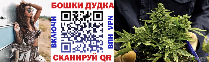 Бошки марихуана сатива  Купить  Неман 